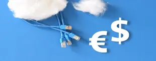 Das Bild zeigt blaue Netzwerkkabel, die aus einer Wattewolke ragen, sowie die Symbole für Euro (€) und Dollar ($) auf blauem Hintergrund.